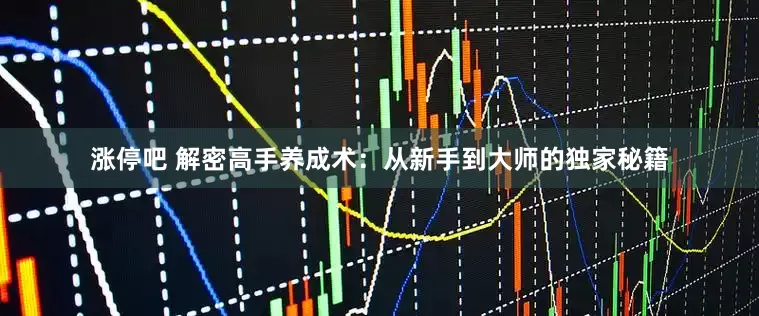 涨停吧 解密高手养成术：从新手到大师的独家秘籍