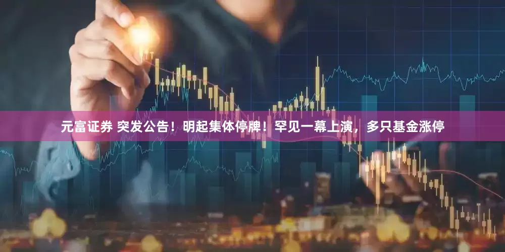 元富证券 突发公告！明起集体停牌！罕见一幕上演，多只基金涨停
