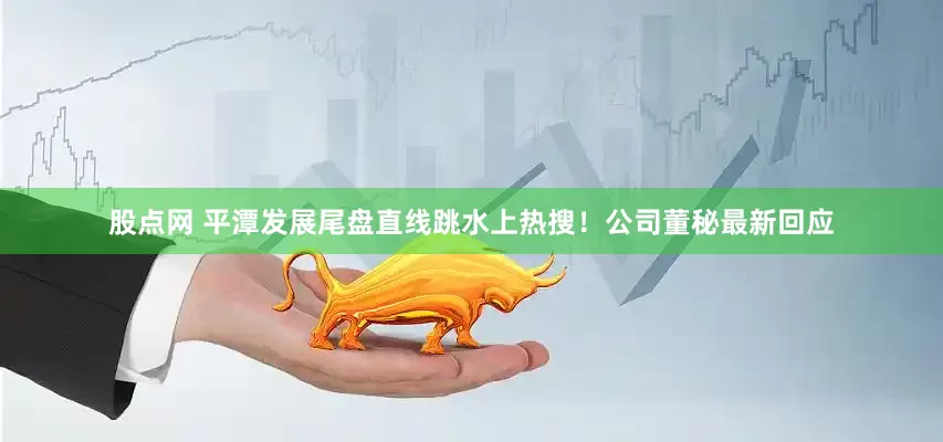 股点网 平潭发展尾盘直线跳水上热搜！公司董秘最新回应